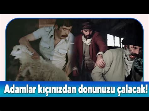 Sürü türk filmi